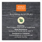 World Centric® PLA Lids for Fiber Containers, 8.8 x 6.9 x 0.8, Clear, Plastic, 400/Carton (WORCTLCS3) Case of 400