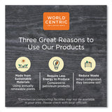 World Centric® PLA Lids for Fiber Containers, 8.8 x 6.9 x 0.8, Clear, Plastic, 400/Carton (WORCTLCS3) Case of 400