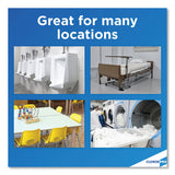 Clorox® Urine Remover for Stains and Odors, 32 oz Pull top Bottle (CLO31415EA) Each