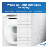 Clorox® Disinfecting Bio Stain and Odor Remover, Fragranced, 32 oz Spray Bottle, 9/Carton (CLO31903) Case of 9