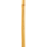 Brazos™ Free Form Walking Stick Wood 58 Inch Height Bamboo (1229054_EA) 1/EA