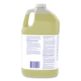 Diversey™ Liqu-A-Klor Disinfectant/Sanitizer, 1 gal Bottle, 4/Carton (DVO02853280) Case of 4