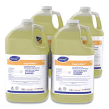 Diversey™ Liqu-A-Klor Disinfectant/Sanitizer, 1 gal Bottle, 4/Carton (DVO02853280) Case of 4