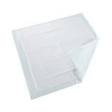 McKesson Super Disposable Underpad 30 X 30 Inch Fluff / Polymer Moderate Absorbency (724049_BG) 10/BG