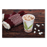 SOLO® Bare Eco-Forward Recycled Content PCF Paper Hot Cups, 12 oz, Green/White/Beige, 1,000/Carton (SCC412RCN)