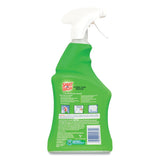 SPRAY ‘n WASH® Stain Remover, 22 oz Spray Bottle (RAC00230EA) Each