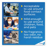 Clorox® Anywhere Hard Surface Sanitizing Spray, 32 oz Spray Bottle, 12/Carton (CLO01698CT) Case of 12