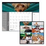 Blueline® Pets Collection Monthly Desk Pad, Puppies Photography, 22 x 17, Black Binding, Clear Corners, 12-Month (Jan to Dec): 2026 (REDC194116) Each