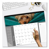 Blueline® Pets Collection Monthly Desk Pad, Puppies Photography, 22 x 17, Black Binding, Clear Corners, 12-Month (Jan to Dec): 2026 (REDC194116) Each