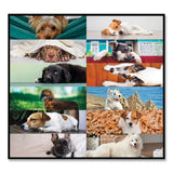 Blueline® Pets Collection Monthly Desk Pad, Puppies Photography, 22 x 17, Black Binding, Clear Corners, 12-Month (Jan to Dec): 2026 (REDC194116) Each