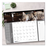 Blueline® Pets Collection Monthly Desk Pad, Furry Kittens Photography, 22 x 17, White Sheets, Black Binding, 12-Month (Jan-Dec): 2026 (REDC194115) Each