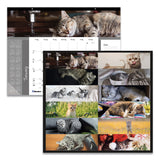 Blueline® Pets Collection Monthly Desk Pad, Furry Kittens Photography, 22 x 17, White Sheets, Black Binding, 12-Month (Jan-Dec): 2026 (REDC194115) Each