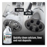 CLR PRO® Calcium, Lime and Rust Remover, 1 gal Bottle (JELCL4PROEA) Each