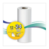 Windsoft® Premium Kitchen Roll Towels, 2-Ply, 11 x 6, White, 110/Roll, 12 Rolls/Carton (WIN12216) Case of 12
