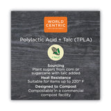 World Centric® TPLA Compostable Cutlery, Spoon, 6", White, 750/Carton (WORSPPSI) Case of 750