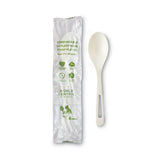 World Centric® TPLA Compostable Cutlery, Spoon, 6", White, 750/Carton (WORSPPSI) Case of 750