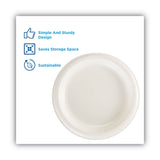 Dixie® Paper Dinnerware, Plates, White, 8.5" dia, 125/Pack (DXEDBP09W) Pack of 125