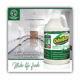 OdoBan® Concentrated Odor Eliminator and Disinfectant, Eucalyptus, 1 gal Bottle (ODO911062G4EA) Each