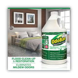 OdoBan® Concentrated Odor Eliminator and Disinfectant, Eucalyptus, 1 gal Bottle (ODO911062G4EA) Each