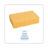 Boardwalk® Medium Cellulose Sponge, 3.67 x 6.08, 1.55" Thick, Yellow, 24/Carton (BWKCS2) Case of 24