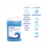 Boardwalk® Industrial Strength Glass Cleaner with Ammonia, 1 gal Bottle, 4/Carton (BWK4714A) Case of 4