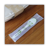 World Centric® TPLA Compostable Cutlery, Spoon, 6", White, 750/Carton (WORSPPSI) Case of 750