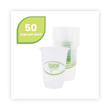 Eco-Products® GreenStripe Renewable and Compostable Cold Cups Convenience Pack, Clear, 16 oz, 50/Pack (ECOEPCC16GSPK) Pack of 50
