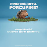 Colace® Stool Softener Capsule 60 per Bottle 100 mg Strength Docusate Sodium (277028_EA) 1/EA