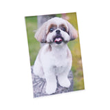 Universal® Clear L-Style Freestanding Frame, 5 x 7 Insert, 3/Pack (UNV76850) Pack of 3