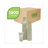 Eco-Products® World Art Renewable and Compostable Hot Cups, 16 oz, 50/Pack, 20 Packs/Carton (ECOEPBHC16WA) Case of 1000