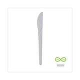 Eco-Products® Plantware Compostable Cutlery, Knife, 6", Pearl White, 50/Pack, 20 Pack/Carton (ECOEPS011) Case of 1000
