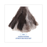 Boardwalk® Professional Ostrich Feather Duster, 7" Handle (BWK13FD) Each