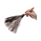 Boardwalk® Professional Ostrich Feather Duster, 7" Handle (BWK13FD) Each