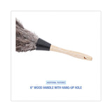 Boardwalk® Professional Ostrich Feather Duster, Gray, 14" Length, 6" Handle (BWK14FD) Each
