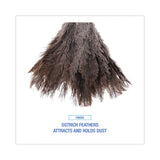 Boardwalk® Professional Ostrich Feather Duster, Gray, 14" Length, 6" Handle (BWK14FD) Each