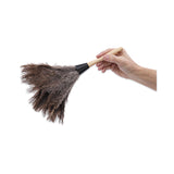 Boardwalk® Professional Ostrich Feather Duster, Gray, 14" Length, 6" Handle (BWK14FD) Each