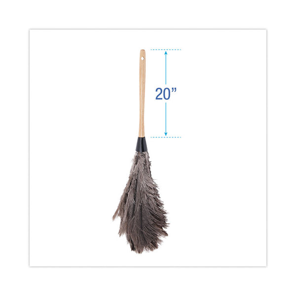 Boardwalk® Professional Ostrich Feather Duster, Wood Handle, 20" (BWK20GY)