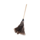 Boardwalk® Professional Ostrich Feather Duster, 13" Handle (BWK23FD) Each