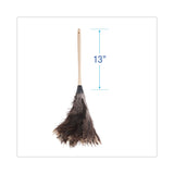 Boardwalk® Professional Ostrich Feather Duster, 13" Handle (BWK23FD) Each