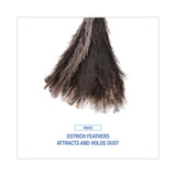 Boardwalk® Professional Ostrich Feather Duster, 13" Handle (BWK23FD) Each