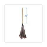 Boardwalk® Professional Ostrich Feather Duster, 16" Wood Handle, 12" Gray Bristle (BWK31FD) Each