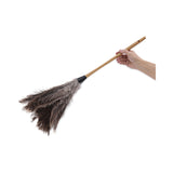 Boardwalk® Professional Ostrich Feather Duster, 16" Wood Handle, 12" Gray Bristle (BWK31FD) Each