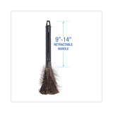 Boardwalk® Retractable Feather Duster, 9" to 14" Handle (BWK914FD) Each