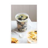 Pactiv Evergreen Newspring DELItainer Microwavable Container, 32 oz, 4.55 x 4.55 x 5.55, Natural, Plastic, 480/Carton (PCTSD5032Y) Case of 480