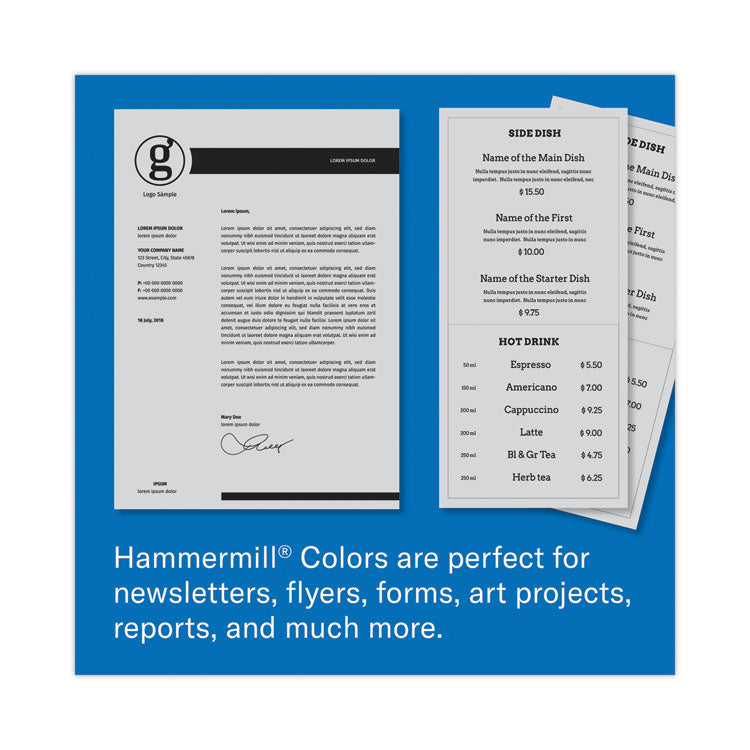 Hammermill® Colors Print Paper, 20 lb Bond Weight, 8.5 x 11, Gray, 500/Ream (HAM102889)