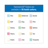 Hammermill® Colors Print Paper, 20 lb Bond Weight, 8.5 x 11, Gray, 500/Ream (HAM102889) 1 Ream