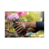 3M Nexcare™ Waterproof, Clear Bandages, Assorted Sizes, 50/Box (MMM43250) Box of 50