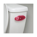 Boardwalk® Curve Air Freshener, Spiced Apple, Solid, Red, 10/Box (BWKCURVESAP) Box of 10