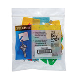 CONTROLTEK® Key Tags, Blue/Green/Red/Yellow, 20/Pack, 3 Packs/Carton (CNK500133) Pack of 20