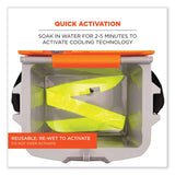 ergodyne® Chill-Its 6700 Cooling Bandana Polymer Tie Headband, One Size Fits Most, Lime, Ships in 1-3 Business Days (EGO12301) Each